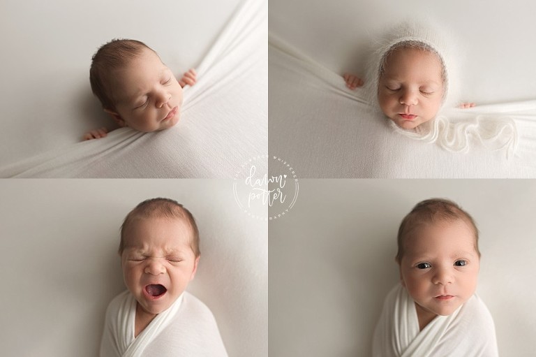 Seattle newborn photographer_0485.jpg