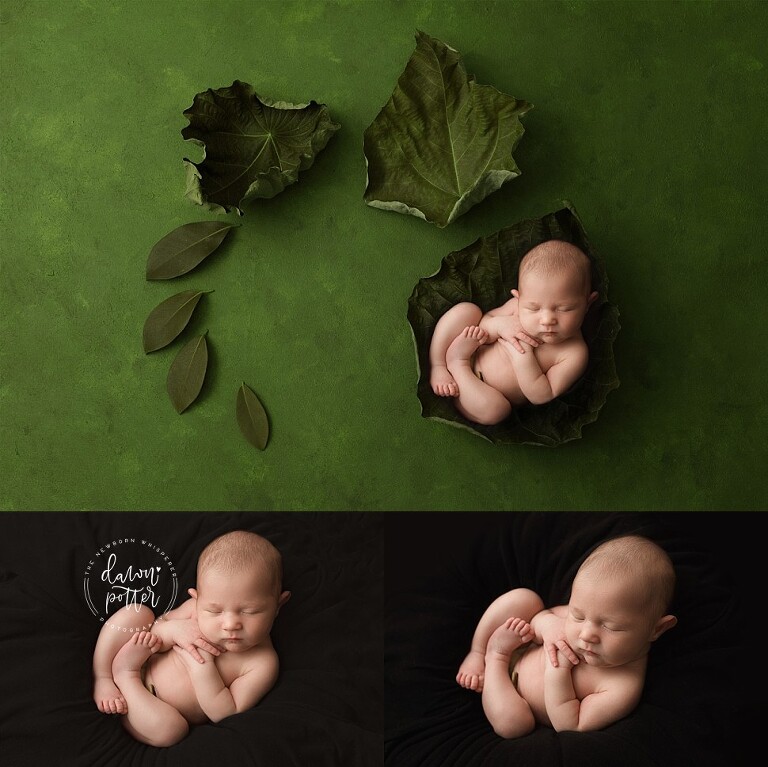 Tacoma newborn photographer_0503.jpg