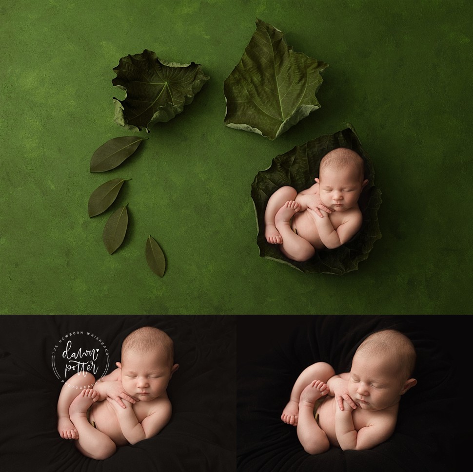 Tacoma newborn photographer_0503.jpg Tacoma newborn photographer_0503.jpg