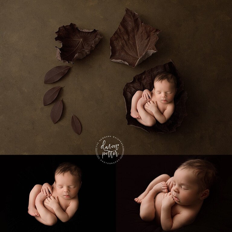 Tacoma Newborn Photographer