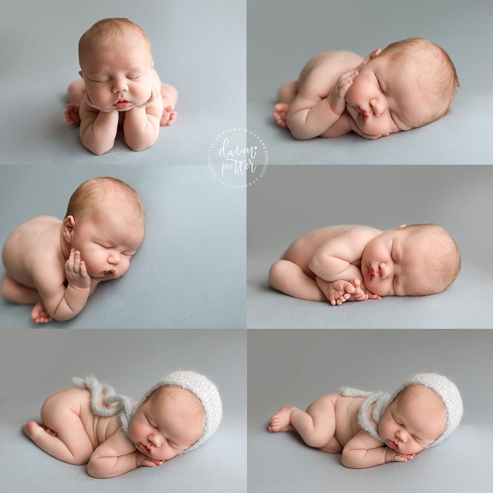 West Seattle Baby Photographer_0616.jpg West Seattle Baby Photographer_0616.jpg