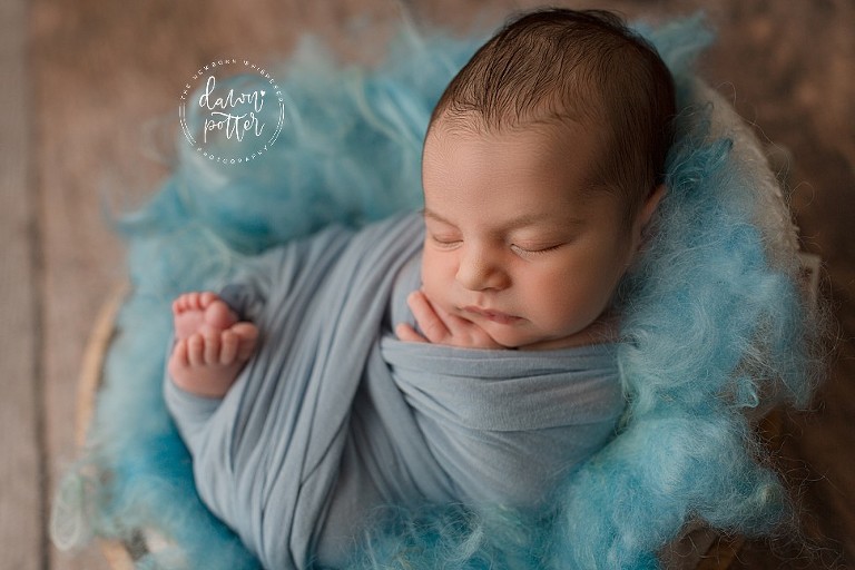 Bellevue baby Photographer_0029.jpg