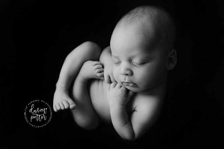 Renton Newborn Baby Photographer_0092.jpg