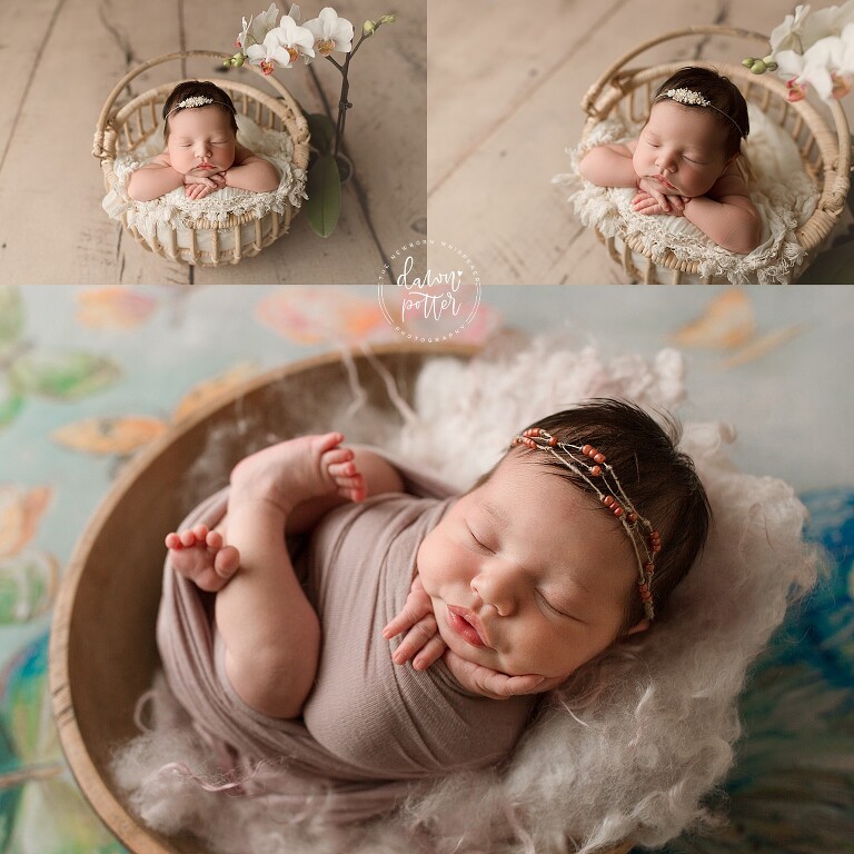 Best Newborn Photographers in Seattle