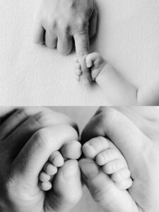 Seattle Newborn Portrait Session