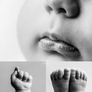 Seattle's Best Newborn Photographer
