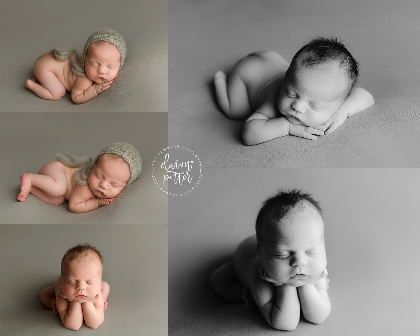 Tacoma Baby Photographer_0076.jpg Tacoma Baby Photographer_0076.jpg