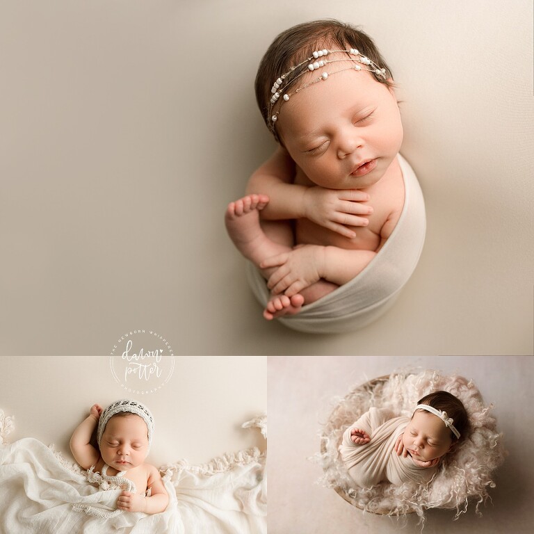 Bellevue Newborn Photographer