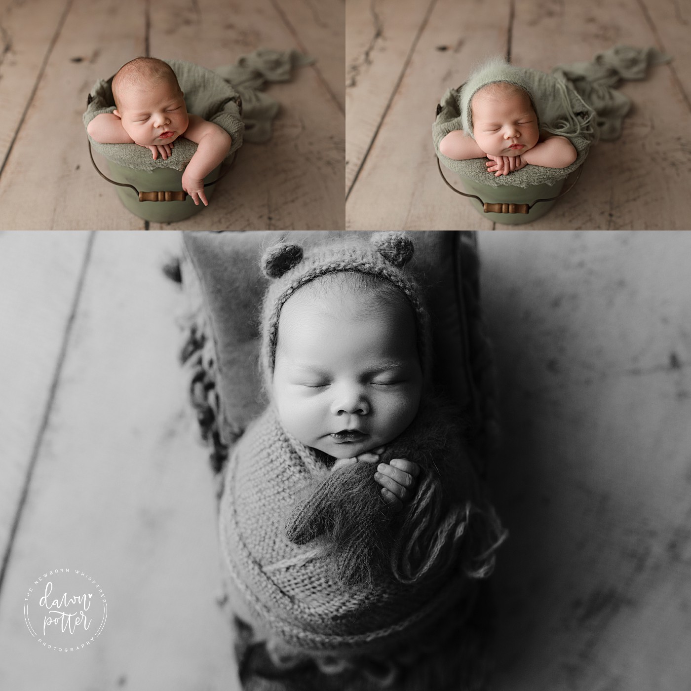 Tacoma Newborn Baby Photographer