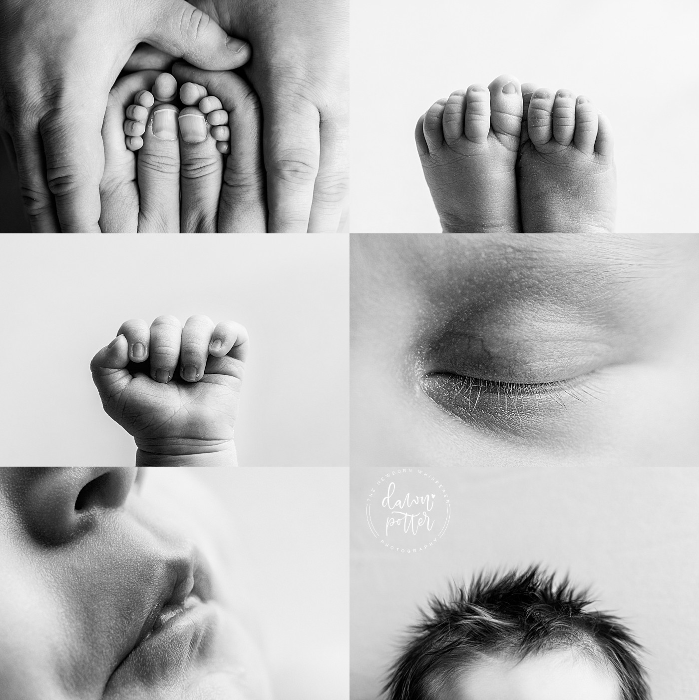 Tacoma Newborn Photographer_0152.jpg Tacoma Newborn Photographer_0152.jpg