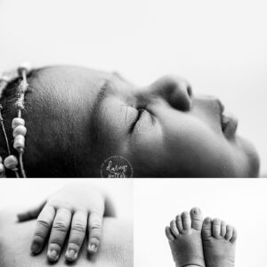 Best Newborn Photographer in Washington