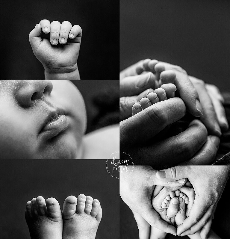 Seattle newborn baby photographer_0186.jpg