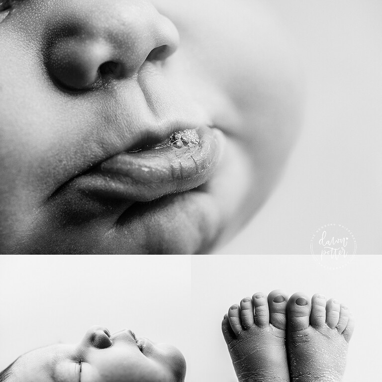 Seattle's best newborn baby photographer_0204.jpg