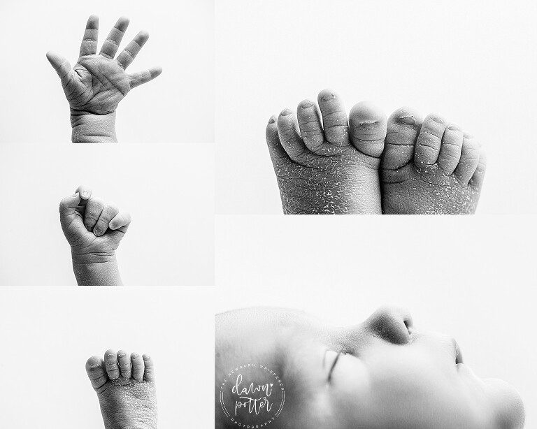 Washington's best newborn baby photographer_0208.jpg