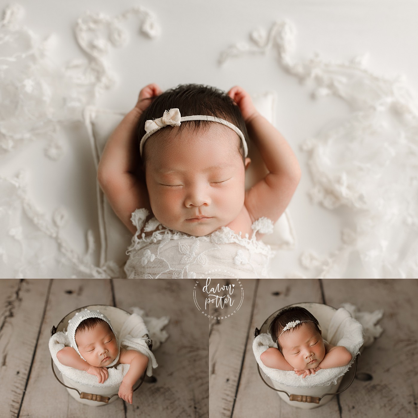 View Recent Sessions Blog Dawn Potter Photography