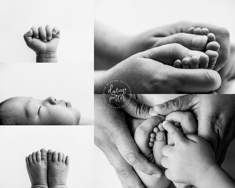 Seattle's best newborn baby photographer_0216.jpg