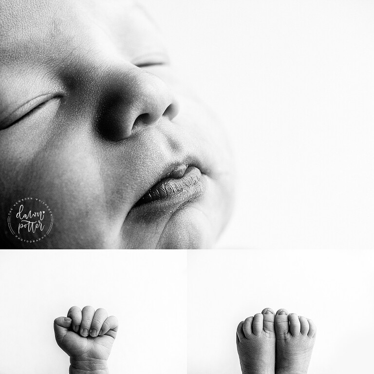 Seattle's best newborn photographer_0249.jpg