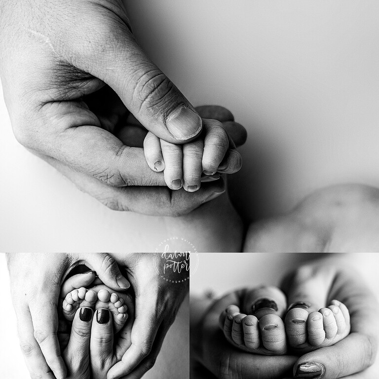 best newborn photographer_0255.jpg