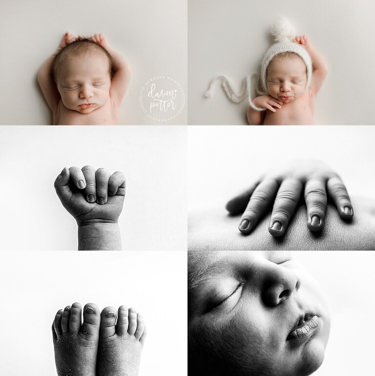 best newborn photographer in Seattle_0271.jpg