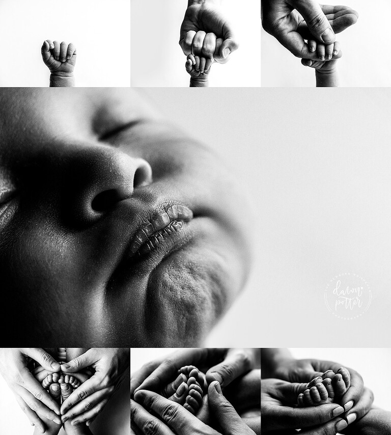 Best baby photographer in Seattle_0299.jpg