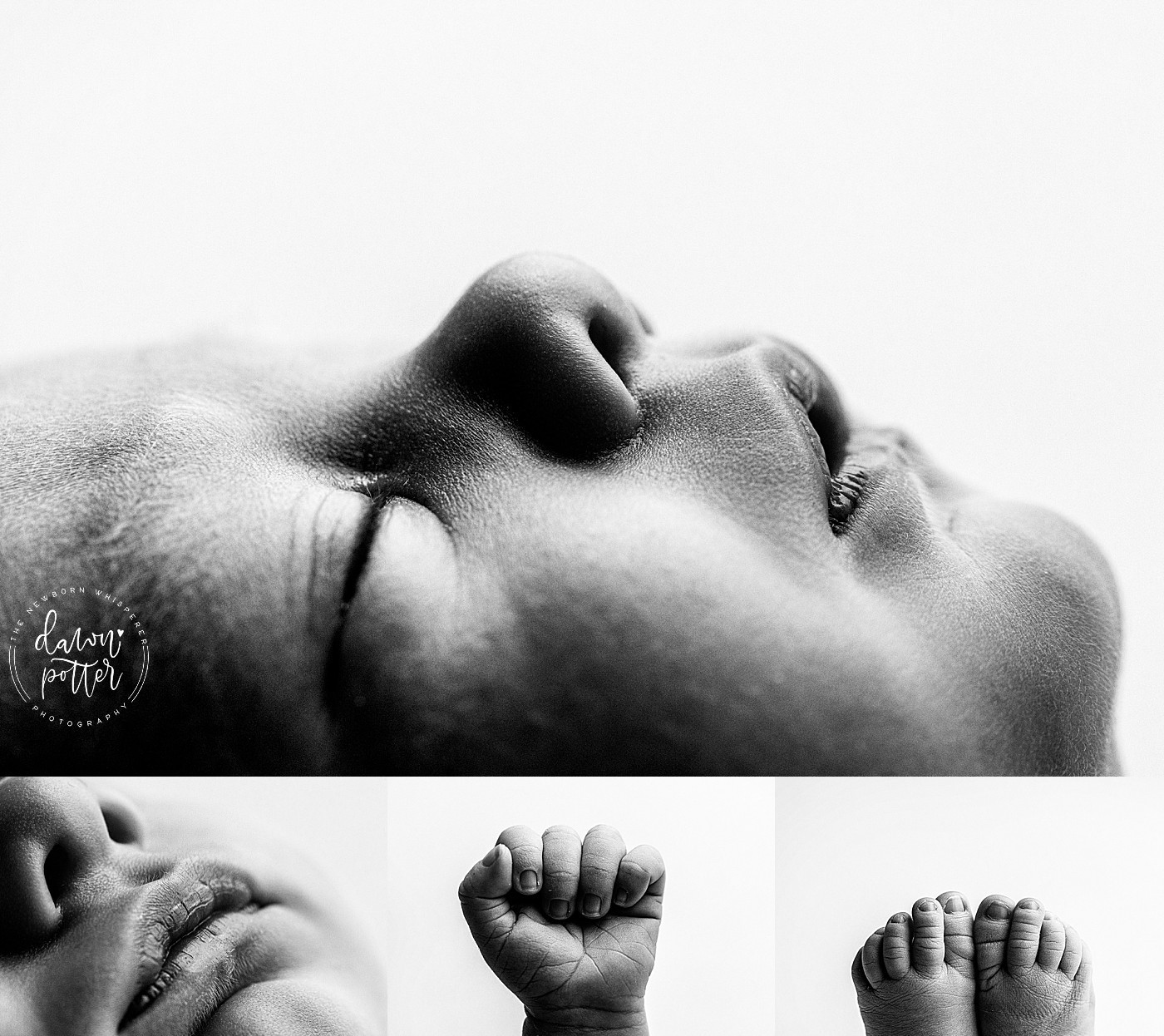 Best Newborn Photographer in Seattle_0324.jpg Best Newborn Photographer in Seattle_0324.jpg