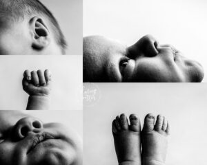 newborn portraits near me, infant photography Seattle, Seattle's best newborn photographer
