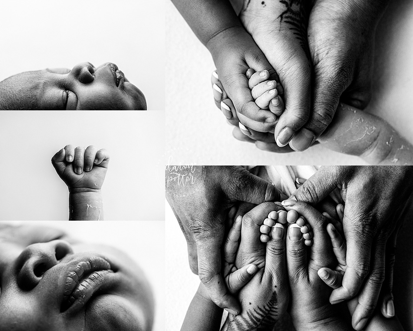 best Seattle newborn photographer, best Renton WA baby photography, newborn portraits Seattle