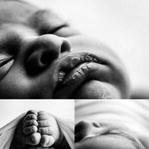best Seattle newborn photographer, newborn portraits near me, professional newborn photos Seattle, Newborn photography Bellevue, Newborn photography Seattle, Seattle newborn photography near me
