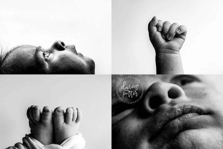 Newborn photos Seattle_0094.jpg
