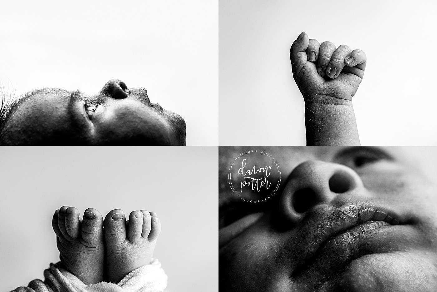 Newborn photos Seattle_0094.jpg