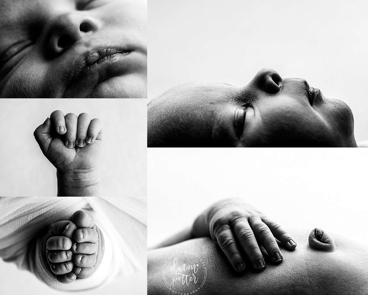 Seattle's Best Newborn Photographer, baby portraits Seattle, Seattle infant photographer, Renton baby portrait studio