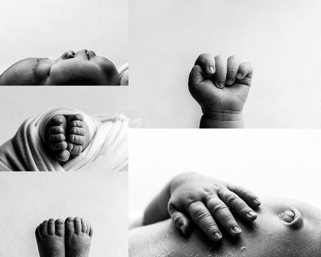 Tukwila Newborn Photographer, newborn portraits near me, baby photography studio
