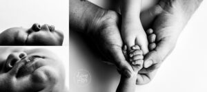 Seattle newborn portrait studio