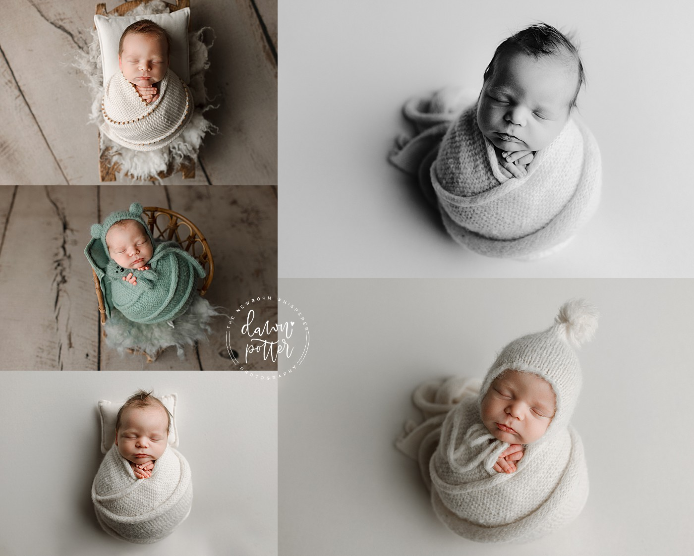 Tukwila Newborn Photographer